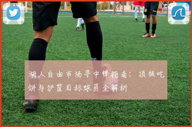 湖人自由市场寻中锋指南:顶级吃饼与护筐目标球员全解析